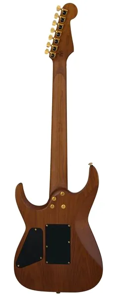 Charvel Angel Vivaldi PM DK24 GT7 Nat, detalj 2