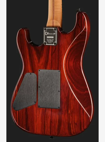 Charvel Custom Shop USA San Dimas BT, detalj 5