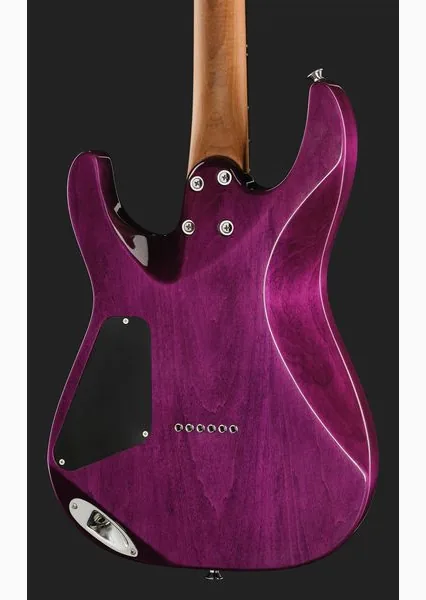 Charvel Pro Mod Plus DK24 VRAD, detalj 5
