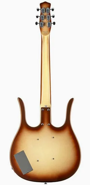 Danelectro 58 Longhorn CB, detalj 2