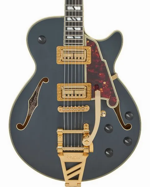 DAngelico Deluxe Bobby Weir 3 MS, detalj 4