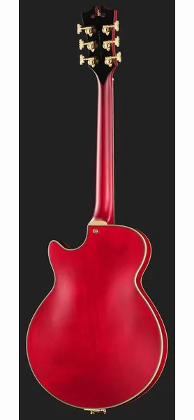 DAngelico Deluxe Bobby Weir 3 STW, detalj 3