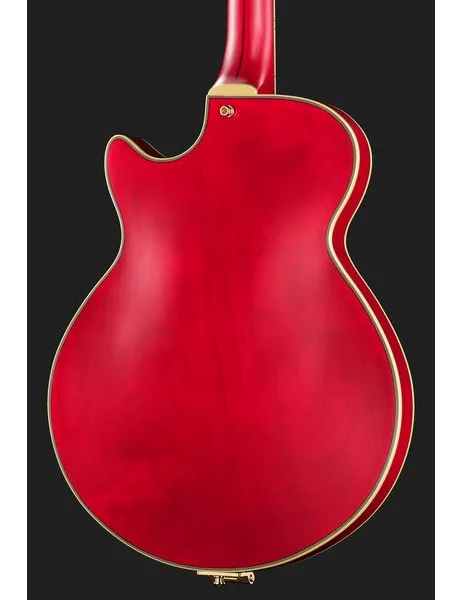 DAngelico Deluxe Bobby Weir 3 STW, detalj 5