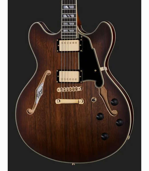 DAngelico Deluxe DC Satin Brown Burst, detalj 4