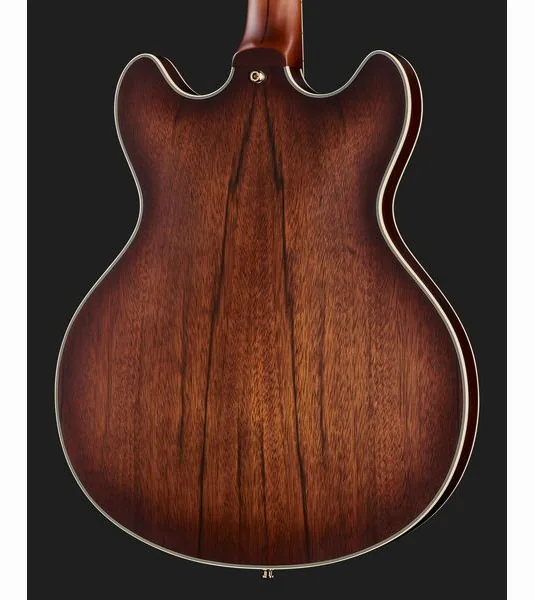 DAngelico Deluxe DC Satin Brown Burst, detalj 5
