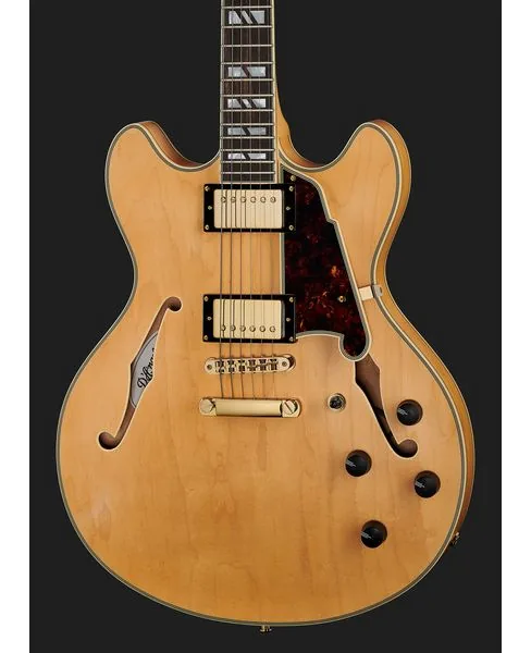 DAngelico Deluxe DC Satin Honey, detalj 4