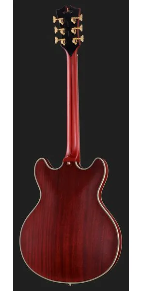 DAngelico Deluxe DC Satin Trans Wine, detalj 3