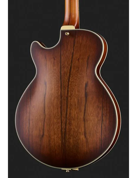 DAngelico Deluxe SS Satin Brown Burst, detalj 5
