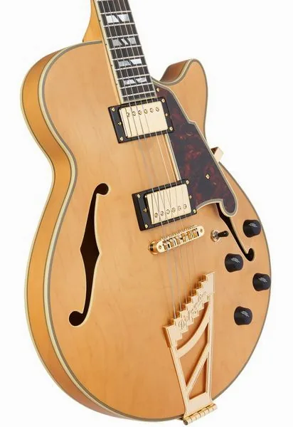 DAngelico Deluxe SS Satin Honey, detalj 5