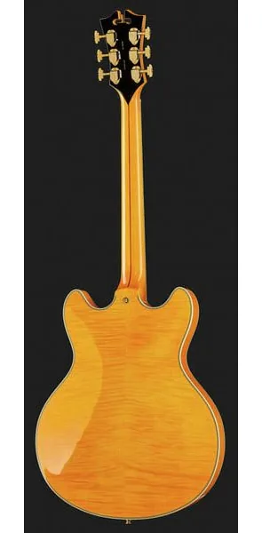 DAngelico Excel DC Vintage Natural, detalj 3