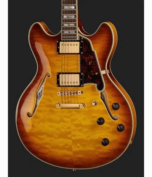 DAngelico Excel DC XT Iced Tea Quilt, detalj 4
