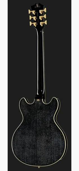 DAngelico Excel Mini DC Black Dog, detalj 3