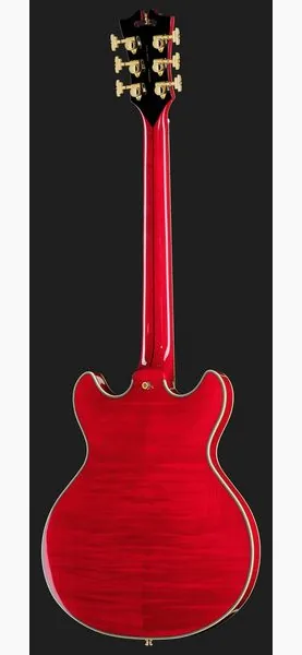 DAngelico Excel Mini DC Trans Cherry 25, detalj 3