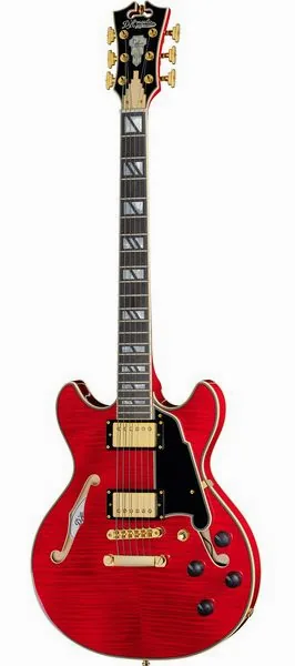 DAngelico Excel Mini DC Trans Cherry 25 framifrån