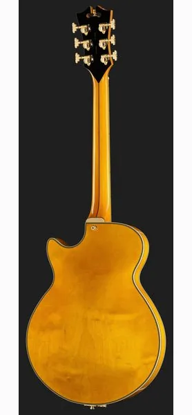 DAngelico Excel SS Amber, detalj 3