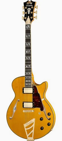DAngelico Excel SS Amber framifrån