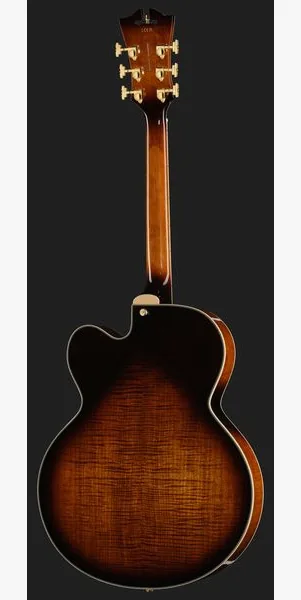 DAngelico Premier EXL1 Brown Burst, detalj 3