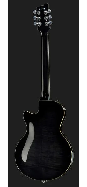 Duesenberg Starplayer TV Plus BK, detalj 3