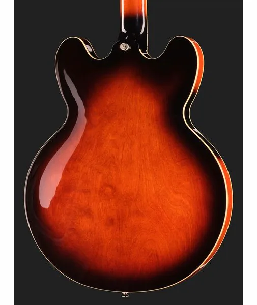 Epiphone Bonehead Riviera DTSB, detalj 5