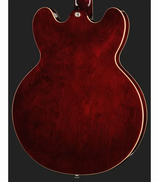 Epiphone Noel Gallagher Riviera, detalj 5