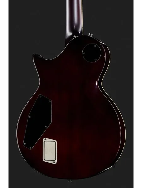ESP E-II Eclipse FT FM TSB, detalj 5