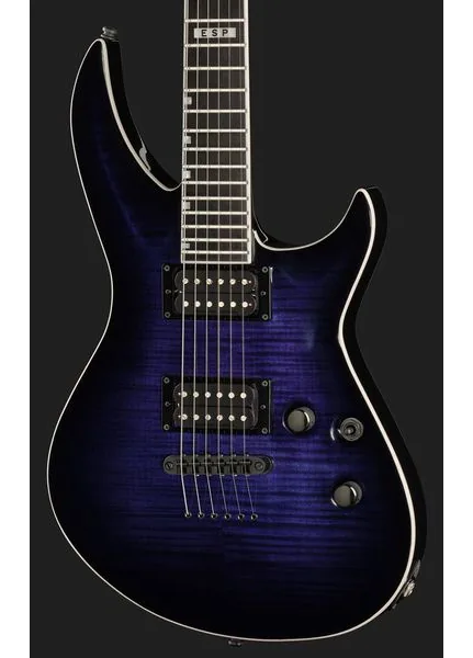 ESP E-II Horizon-III FM RDB, detalj 4