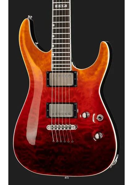 ESP E-II Horizon NT II TE AM Fade, detalj 4