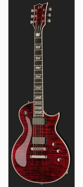 ESP Eclipse CTM FM BKCH, detalj 2