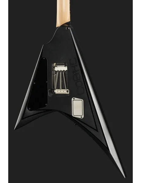 ESP Edwards E-AL-166 BLACKY, detalj 5