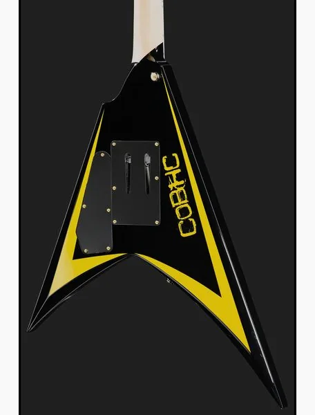 ESP LTD Alexi Laiho Arrowhead, detalj 5