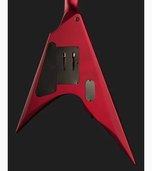 ESP LTD Arrow-1000 CARS Fluence, detalj 5