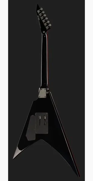 ESP LTD GH-SV-200 BLK, detalj 3