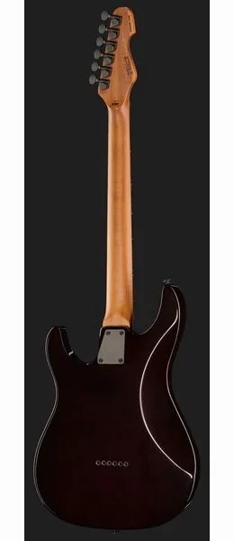 ESP LTD SN-1000HT QM DBSB, detalj 3