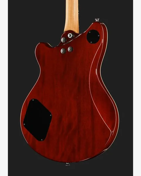 Evh SA-126 Special QM El Natural, detalj 5