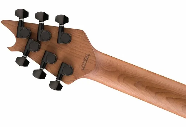 Evh Wolfgang Standard PELHAM BLUE, detalj 5