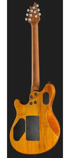 Evh Wolfgang WG Std QM TA, detalj 3
