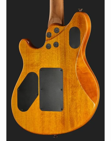 Evh Wolfgang WG Std QM TA, detalj 5