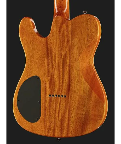 Fender Custom Telecaster FMT HH AM IL, detalj 5