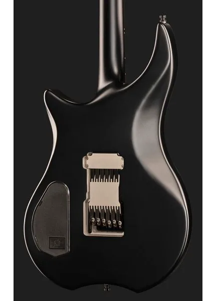 Framus Devin Townsend Stormbender Bl, detalj 5