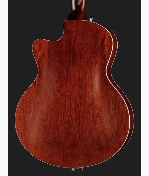Godin 5th Avenue Uptown Custom BR, detalj 5