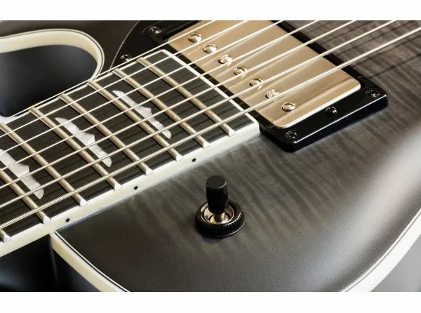 Hagstrom Krona-7 BCC, detalj 5