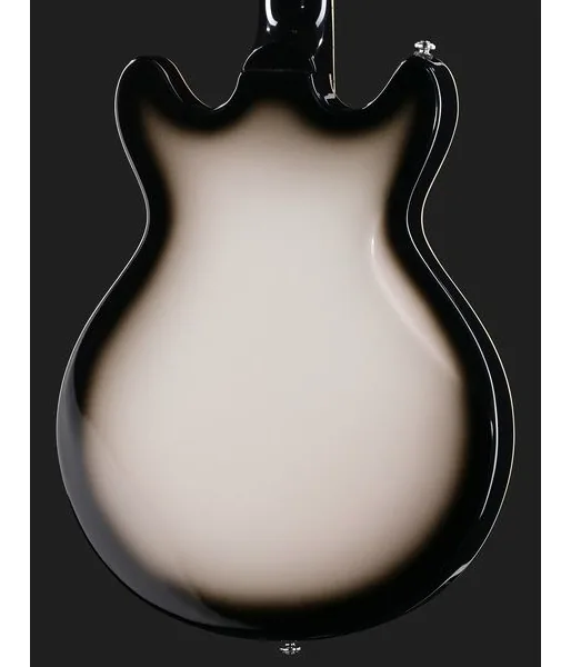 Hagstrom Megin Grey Burst, detalj 5