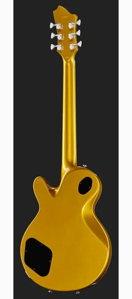 Hagstrom Swede Gold, detalj 3