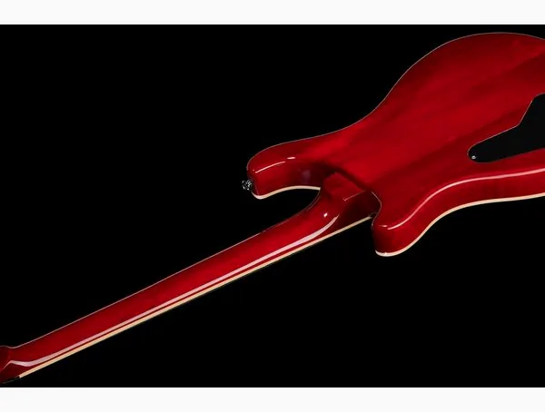 Harley Benton CST-24 Paradise Flame w/Case, detalj 4