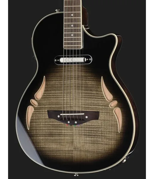 Harley Benton  Nashville-Steel, detalj 4