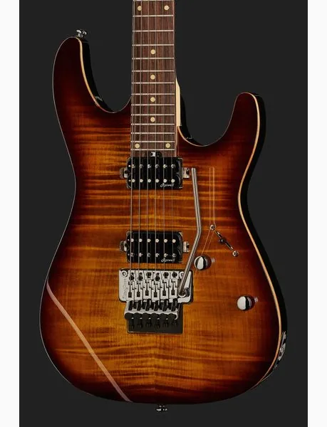 Harley Benton Fusion-III HH FR EB FBB w/Case, detalj 4