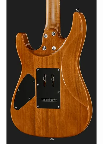 Harley Benton Fusion-IV HH MN FNT, detalj 5