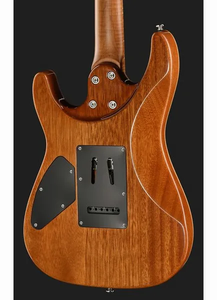 Harley Benton Fusion-IV HH MN OTC, detalj 5