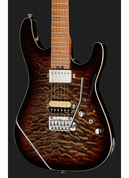 Harley Benton Fusion-IV HH MN QDG, detalj 4