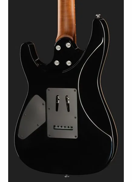 Harley Benton Fusion-IV HH MN QDG, detalj 5